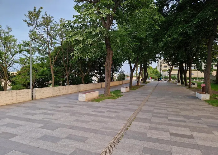 Central Mangalia 아파트 *